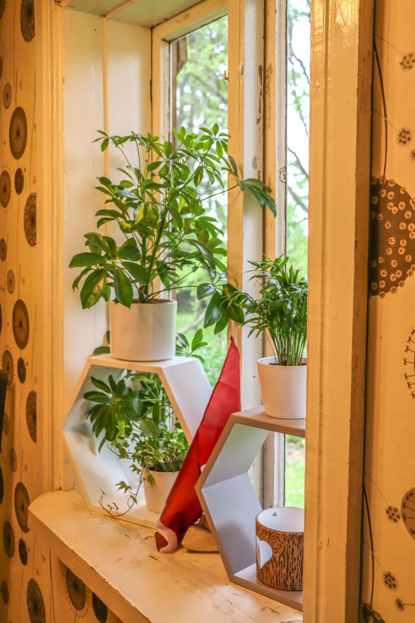 Lauku Viesu Maja Bajari Guest House Rucava Exterior foto